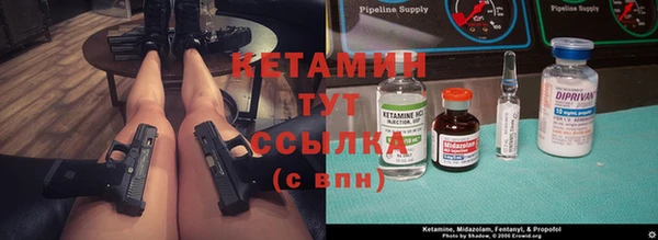 ПСИЛОЦИБИНОВЫЕ ГРИБЫ Горно-Алтайск