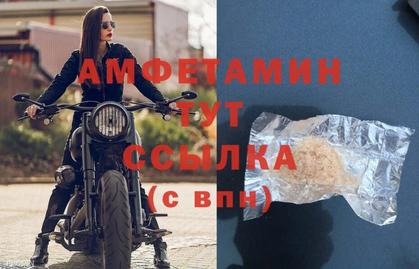 ПСИЛОЦИБИНОВЫЕ ГРИБЫ Горно-Алтайск
