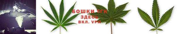 прущие крисы Горняк