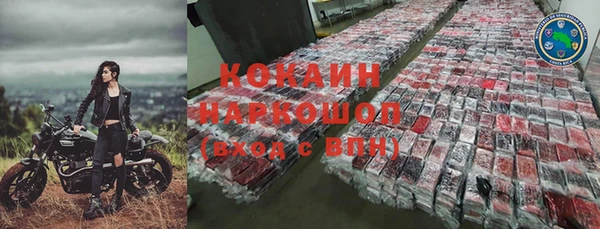 ПСИЛОЦИБИНОВЫЕ ГРИБЫ Горно-Алтайск