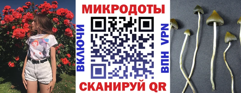 Купить где Ивантеевка Псилоцибиновые грибы GOLDEN TEACHER